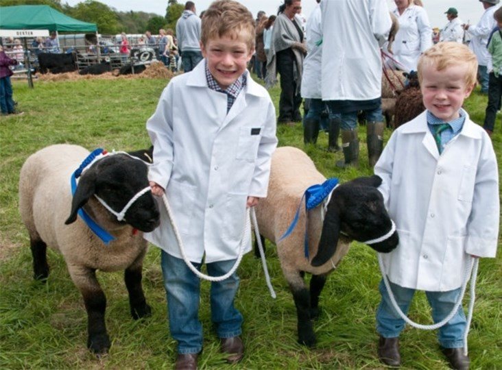 The North Somerset Show